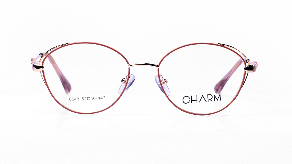 CHARM 8543